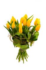 Pugét žlutých tulipánů