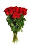24 rudých růží (dvacet čtyři rudých růží). Kytice z dvaceti čtyř rudých růží.