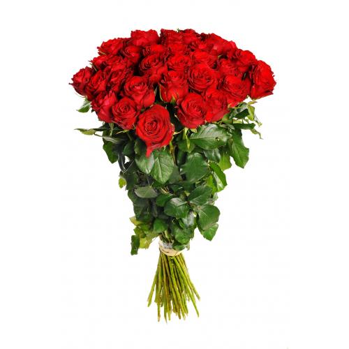 32 rudých růží (třicet dva rudých růží). Kytice z třiceti dvou rudých růží.