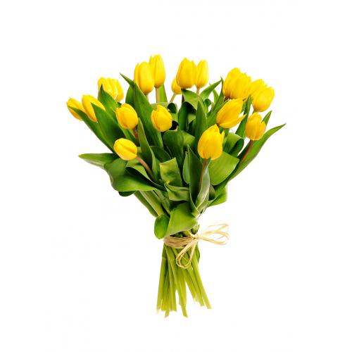 19 žlutých tulipánů (devatenáct žlutých tulipánů). Kytice z 19 žlutých tulipánů.
