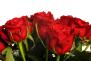 11 červených růží (jedenáct červených růží). Kytice z jedenácti červených růží.