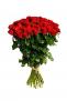 55 rudých růží (padesát pět rudých růží). Kytice z padesáti pěti rudých růží.