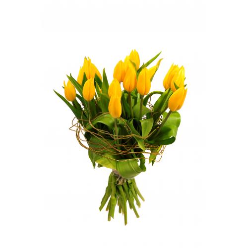Pugét žlutých tulipánů